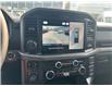 2025 Ford F-150 XLT (Stk: 2505540) in Ottawa - Image 16 of 16