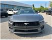 2025 Ford Mustang EcoBoost Premium (Stk: 2501880) in Ottawa - Image 2 of 16