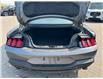 2025 Ford Mustang EcoBoost Premium (Stk: 2501880) in Ottawa - Image 6 of 16