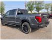 2025 Ford F-150 XLT (Stk: 2504600) in Ottawa - Image 5 of 20