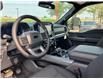 2025 Ford F-150 XLT (Stk: 2504600) in Ottawa - Image 7 of 20