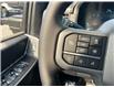 2025 Ford F-150 XLT (Stk: 2504600) in Ottawa - Image 12 of 20