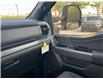2025 Ford F-150 XLT (Stk: 2504600) in Ottawa - Image 19 of 20