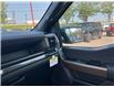 2025 Ford F-150 STX (Stk: 2504650) in Ottawa - Image 18 of 18