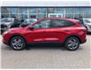 2025 Ford Escape ST-Line (Stk: 2505060) in Ottawa - Image 4 of 18