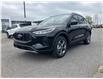 2025 Ford Escape ST-Line (Stk: 2505160) in Ottawa - Image 1 of 19