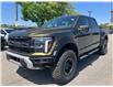 2025 Ford F-150 Raptor (Stk: 2504390) in Ottawa - Image 1 of 16