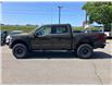 2025 Ford F-150 Raptor (Stk: 2504390) in Ottawa - Image 3 of 16