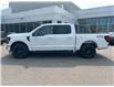2025 Ford F-150 XLT (Stk: 2505410) in Ottawa - Image 3 of 16