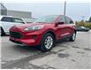 2021 Ford Escape SE (Stk: 2507221) in Ottawa - Image 1 of 21