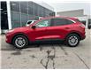 2021 Ford Escape SE (Stk: 2507221) in Ottawa - Image 4 of 21