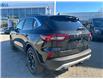 2026 Ford Escape Platinum (Stk: 2600140) in Ottawa - Image 4 of 15
