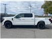 2025 Ford F-150 XLT (Stk: 2506130) in Ottawa - Image 3 of 19