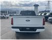 2025 Ford F-150 XLT (Stk: 2506130) in Ottawa - Image 5 of 19