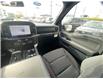 2025 Ford F-150 XLT (Stk: 2506130) in Ottawa - Image 14 of 19