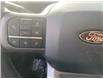 2025 Ford F-150 XLT (Stk: 2507210) in Ottawa - Image 11 of 19