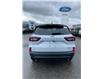 2026 Ford Escape ST-Line (Stk: 2600220) in Ottawa - Image 5 of 16