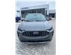 2025 Ford Escape Platinum (Stk: 979750) in Ottawa - Image 3 of 22