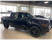 2025 Ford F-150 STX (Stk: 2508140) in Ottawa - Image 1 of 22