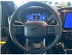 2025 Ford F-150 STX (Stk: 2508210) in Ottawa - Image 12 of 20