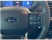 2025 Ford F-150 STX (Stk: 2508210) in Ottawa - Image 14 of 20
