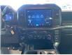 2025 Ford F-150 STX (Stk: 2508210) in Ottawa - Image 16 of 20