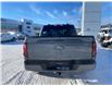 2026 Ford F-150 XLT (Stk: 2600810) in Ottawa - Image 5 of 26 2026 Ford F-150 XLT (Stk: 2600810) in Ottawa - Image 5 of 26