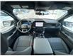 2025 Ford F-150 STX (Stk: 2508850) in Ottawa - Image 14 of 22