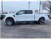 2026 Ford F-150 XLT (Stk: 2600930) in Ottawa - Image 3 of 25