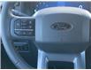 2026 Ford F-150 XLT (Stk: 2600940) in Ottawa - Image 15 of 22