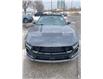 2026 Ford Mustang GT Premium (Stk: 2601100) in Ottawa - Image 3 of 19