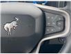 2026 Ford Bronco Big Bend (Stk: 2600990) in Ottawa - Image 13 of 17
