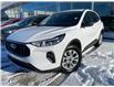 2024 Ford Escape Active (Stk: 980240) in Ottawa - Image 1 of 20