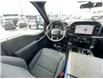 2026 Ford F-150 STX (Stk: 2601480) in Ottawa - Image 12 of 22