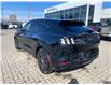 2023 Ford Mustang Mach-E California Route 1 (Stk: 980290) in Ottawa - Image 4 of 20