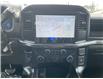 2026 Ford F-150 STX (Stk: 2601640) in Ottawa - Image 23 of 24