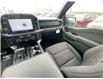 2026 Ford F-150 XLT (Stk: 2601560) in Ottawa - Image 12 of 24