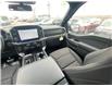2026 Ford F-150 XLT (Stk: 2601340) in Ottawa - Image 12 of 23
