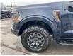 2026 Ford F-150 Tremor (Stk: 2601240) in Ottawa - Image 6 of 27