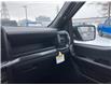 2026 Ford F-150 STX (Stk: 2601490) in Ottawa - Image 15 of 24