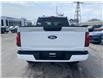 2026 Ford F-150 STX (Stk: 2601250) in Ottawa - Image 5 of 25