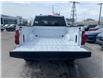 2026 Ford F-150 STX (Stk: 2601250) in Ottawa - Image 6 of 25