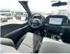2026 Ford F-150 STX (Stk: 2601250) in Ottawa - Image 14 of 25