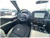 2026 Ford F-150 XLT (Stk: 2601350) in Ottawa - Image 13 of 23