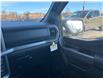 2026 Ford F-150 XLT (Stk: 2601160) in Ottawa - Image 16 of 25