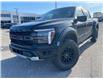 2026 Ford F-150 Raptor (Stk: 2602210) in Ottawa - Image 1 of 28