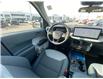 2026 Ford Maverick XLT (Stk: 2601280) in Ottawa - Image 14 of 25