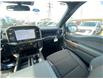 2026 Ford F-150 STX (Stk: 2601830) in Ottawa - Image 13 of 24
