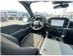 2026 Ford F-150 STX (Stk: 2601830) in Ottawa - Image 14 of 24