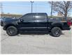 2026 Ford F-150 Tremor (Stk: 2603290) in Ottawa - Image 3 of 24